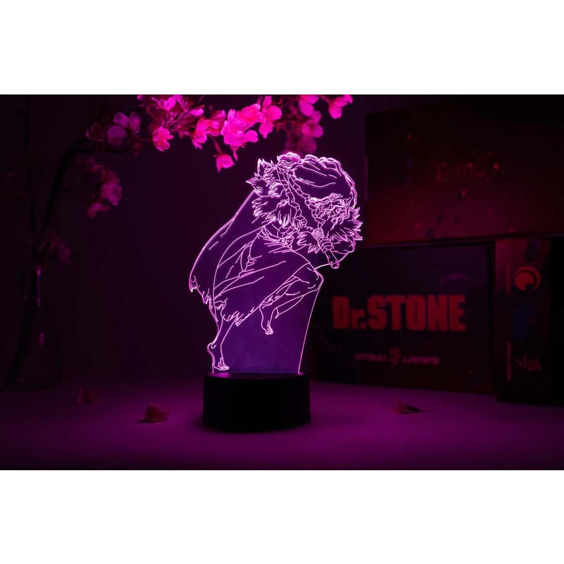 Lampe LED Tsukasa Shishio - Dr Stone™