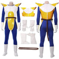 Figurine Cosplay Cosplay Vegeta — Dragon Ball Z
