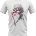 Figurine T shirt Maître Roshi — Dragon Ball Z