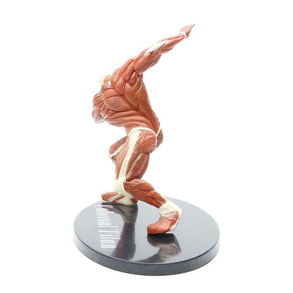 Kolossale Titanenfigur – Attack on Titan™