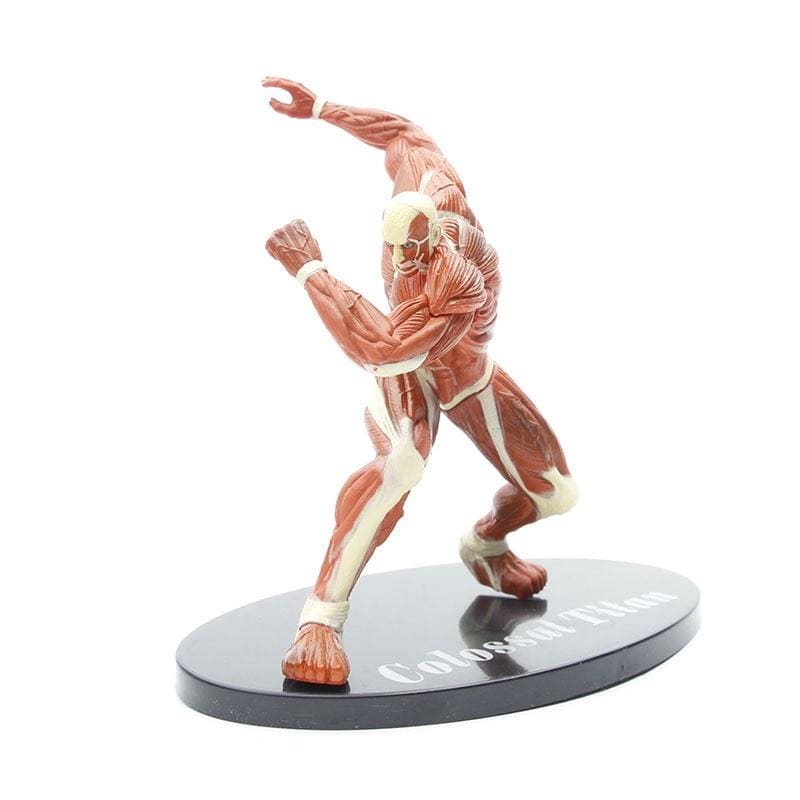 Kolossale Titanenfigur – Attack on Titan™