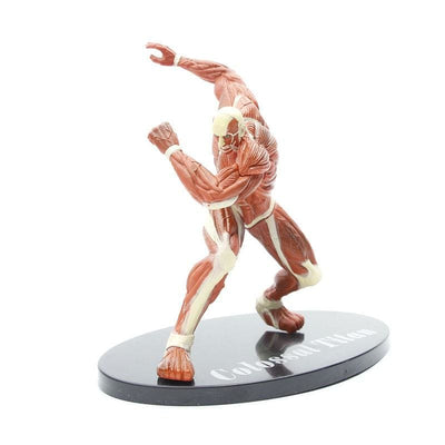 Figurine Titan Colossal - Attaque des Titans™