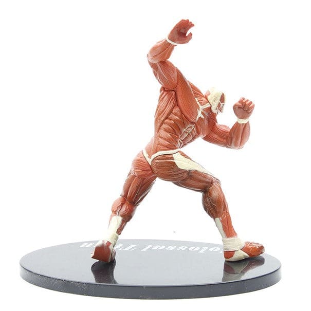 Kolossale Titanenfigur – Attack on Titan™